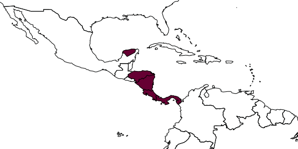 map of Janzenia gauldi     Marsh, 2002